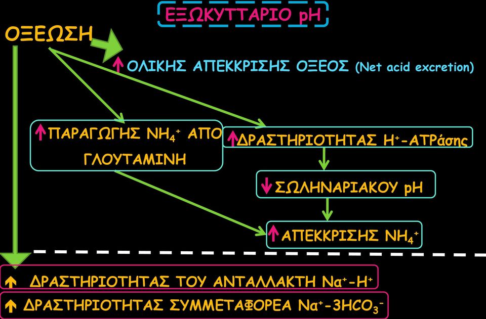 + ΑΤΡάσης ΣΩΛΗΝΑΡΙΑΚΟΥ ph ΑΠΕΚΚΡΙΣΗΣ ΝΗ 4 + ΔΡΑΣΤΗΡΙΟΤΗΤΑΣ