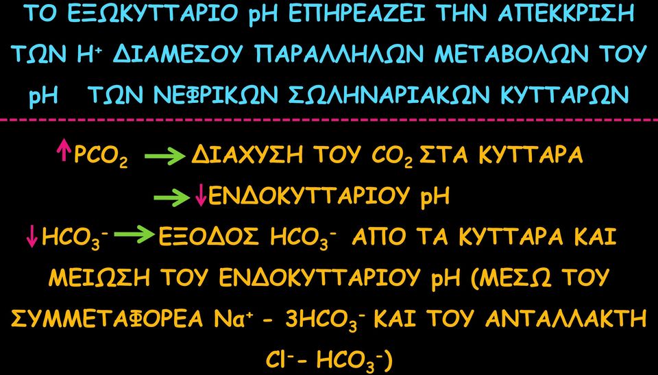 ΣΤΑ ΚΥΤΤΑΡΑ ΕΝΔΟΚΥΤΤΑΡΙΟΥ ph HCO 3 ΕΞΟΔΟΣ HCO 3 ΑΠΟ ΤΑ ΚΥΤΤΑΡΑ ΚΑΙ ΜΕΙΩΣΗ