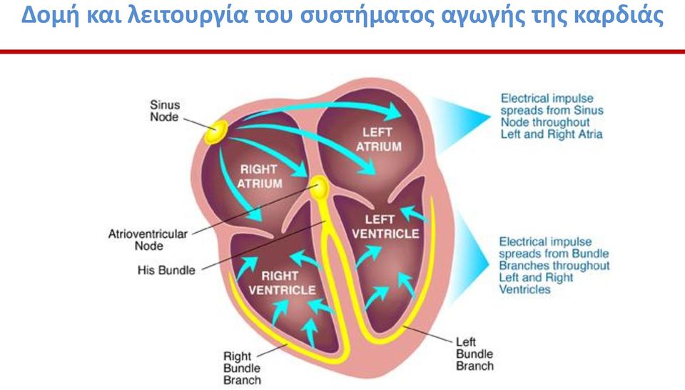 του