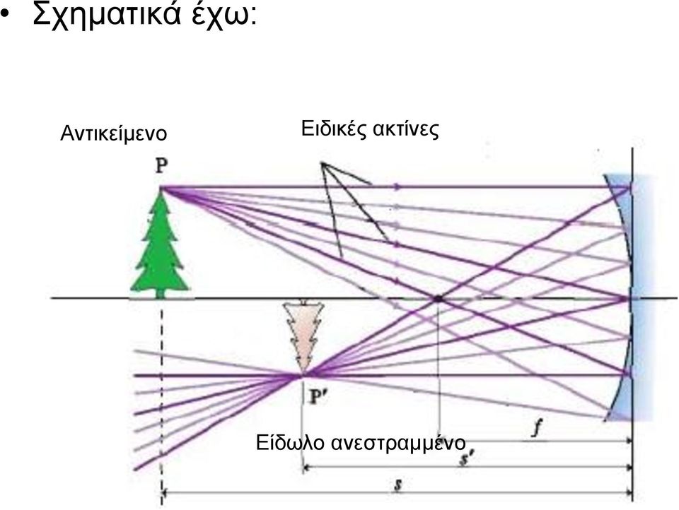 Ειδικές ακτίνες