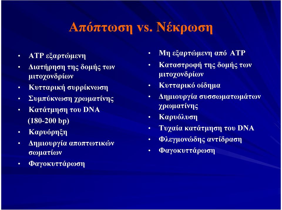 χρωµατίνης Κατάτµηση του DNA (180-200 bp) Καρυόρηξη ηµιουργία αποπτωτικών σωµατίων