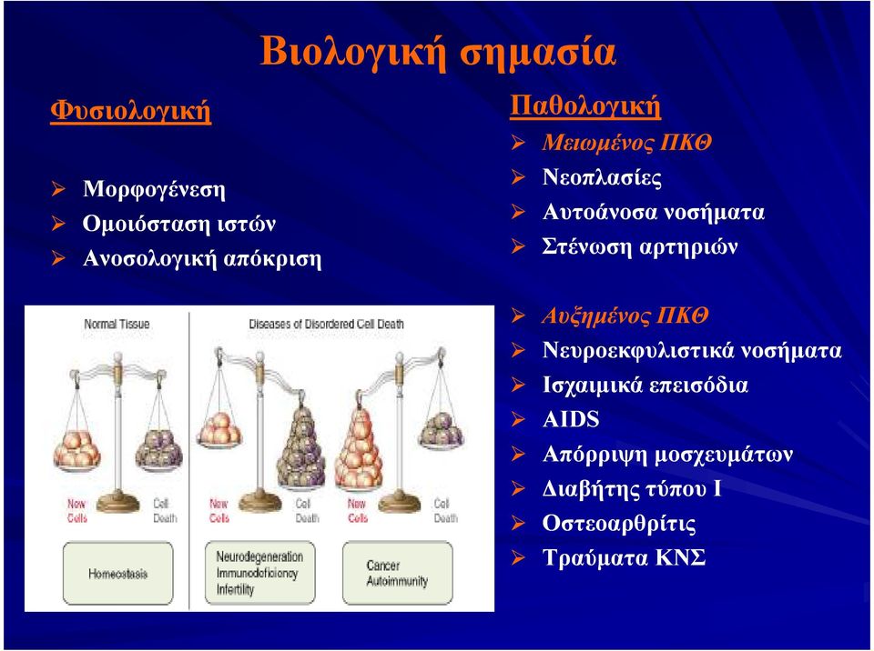 νοσήµατα Στένωση αρτηριών Αυξηµένος ΠΚΘ Νευροεκφυλιστικά νοσήµατα