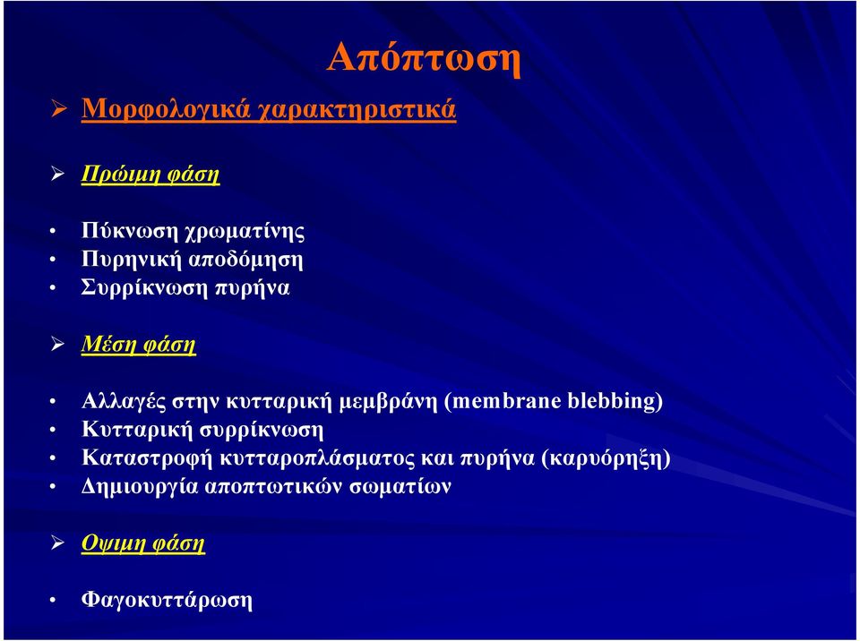 µεµβράνη (membrane blebbing) Κυτταρική συρρίκνωση Καταστροφή