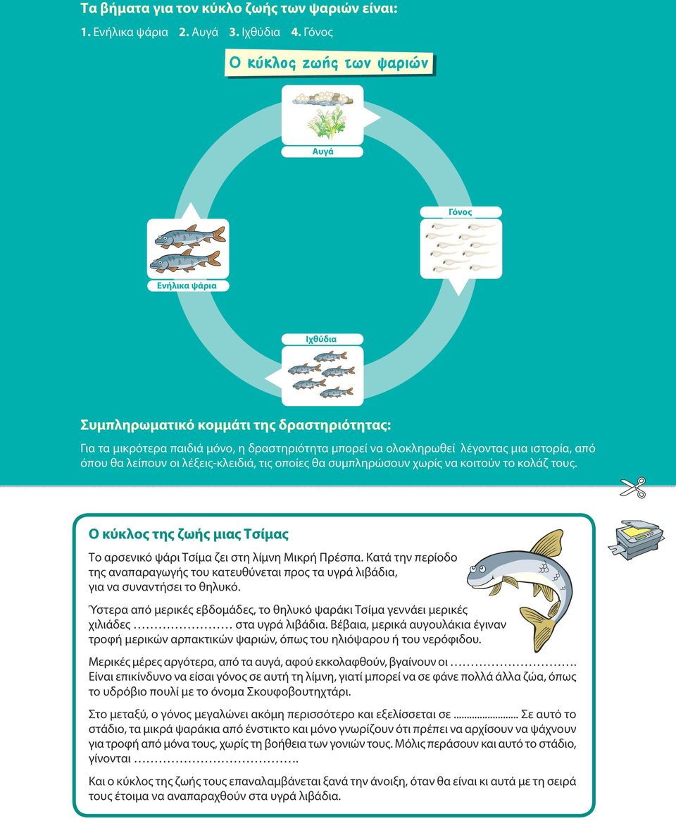 από όπου θα λείπουν οι λέξεις-κλειδιά, τις οποίες θα συμπληρώσουν χωρίς να κοιτούν το κολάζ τους. Ο κύκλος της ζωής μιας Τσίμας Το αρσενικό ψάρι Τσίμα ζει στη λίμνη Μικρή Πρέσπα.
