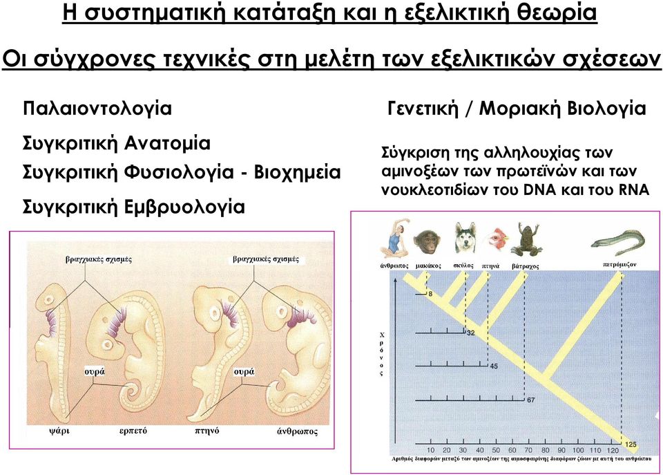 Φυσιολογία - Βιοχημεία Συγκριτική Εμβρυολογία Γενετική / Μοριακή Βιολογία