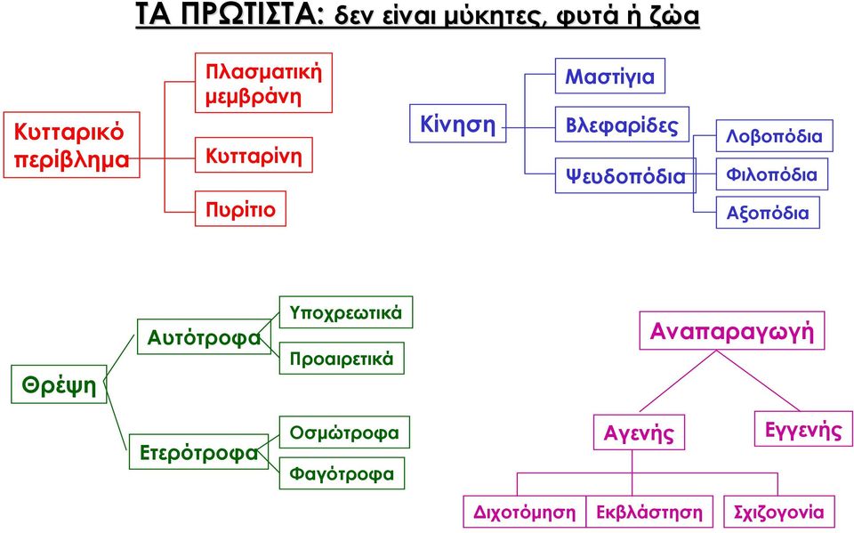 Φιλοπόδια Πυρίτιο Αξοπόδια Θρέψη Αυτότροφα Υποχρεωτικά Προαιρετικά