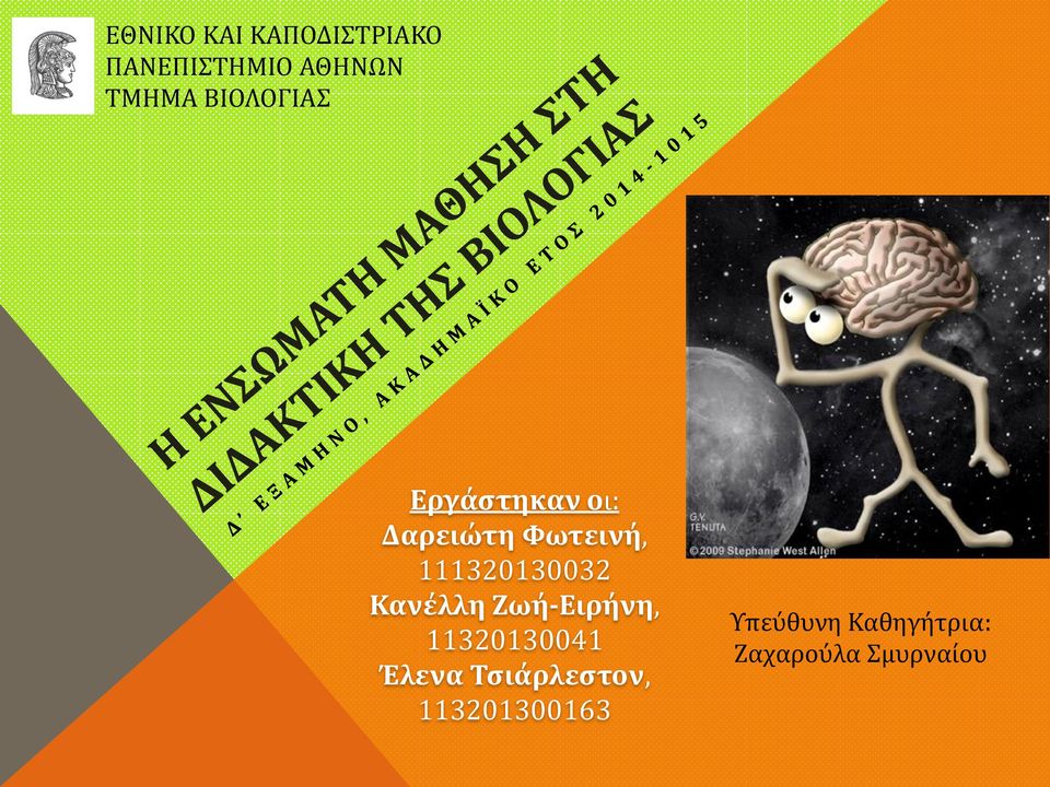 111320130032 Κανέλλη Ζωή-Ειρήνη, 11320130041 Έλενα