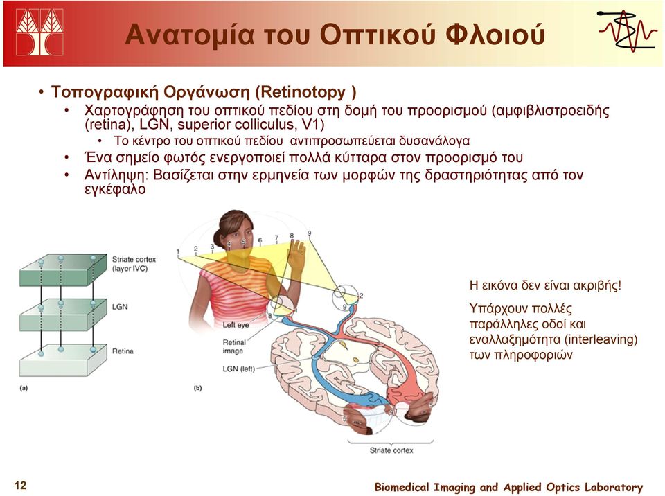 σημείο φωτός ενεργοποιεί πολλά κύτταρα στον προορισμό του Αντίληψη: Βασίζεται στην ερμηνεία των μορφών της δραστηριότητας