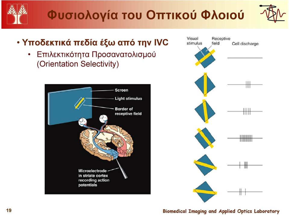 IVC Επιλεκτικότητα