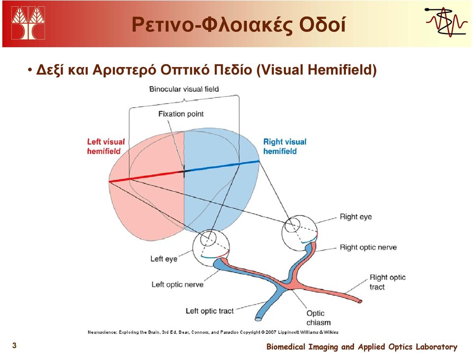 Αριστερό Οπτικό