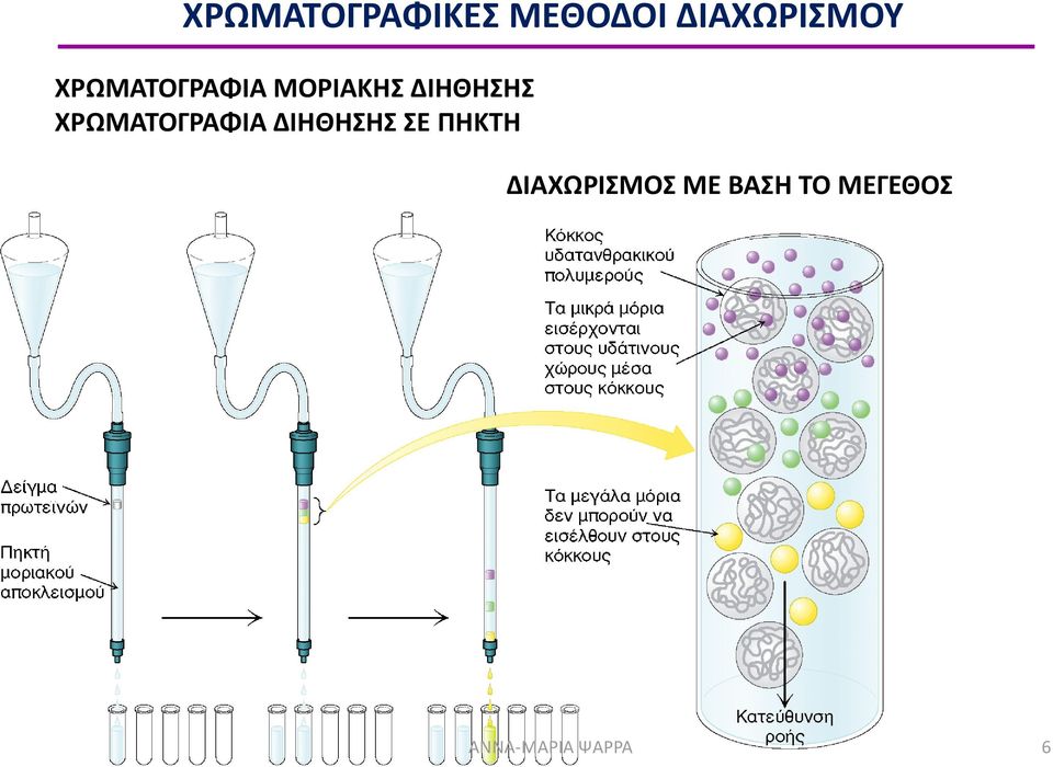 ΧΡΩΜΑΤΟΓΡΑΦΙΑ ΔΙΗΘΗΣΗΣ ΣΕ ΠΗΚΤΗ