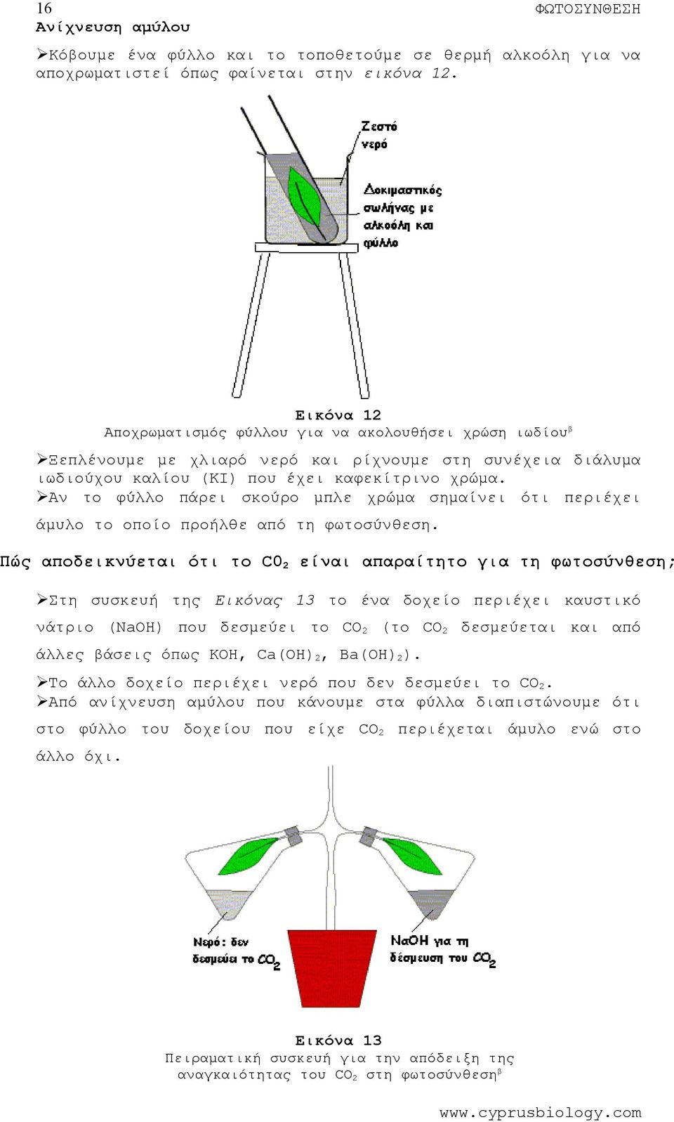 Αν φύλλο πάρει σκούρο μπλε χρώμα σημαίνει ότι περιέχει άμυλο οποίο προήλθε φωσύνθεση.