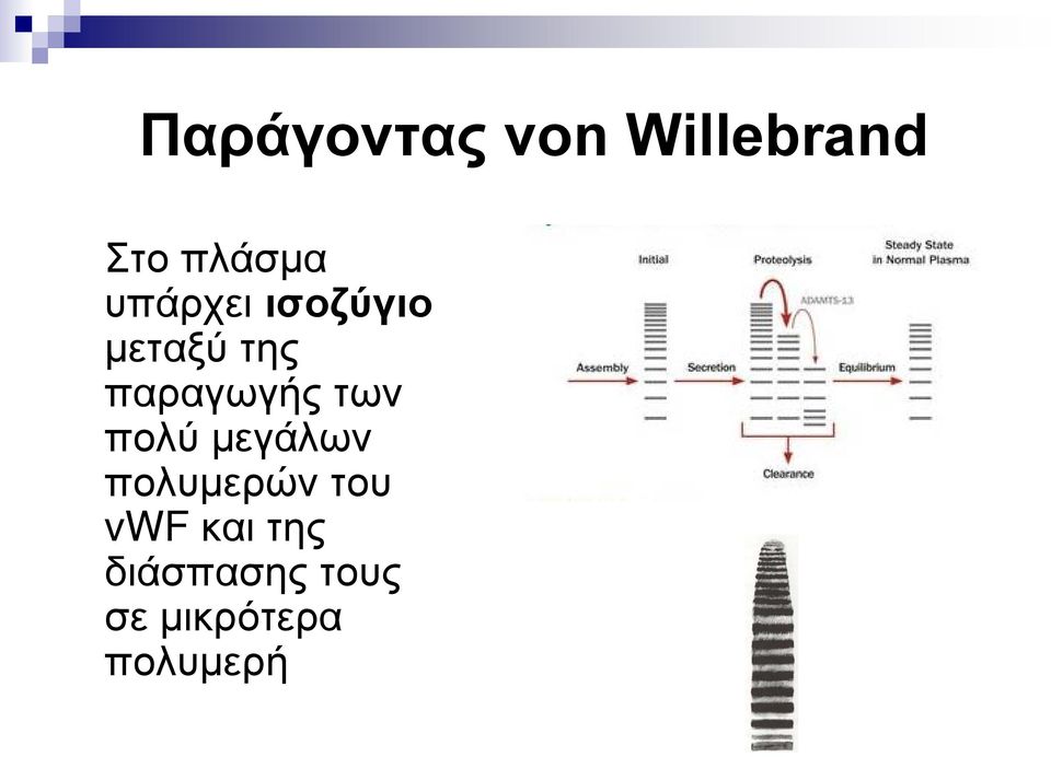 των πολύ μεγάλων πολυμερών του vwf και