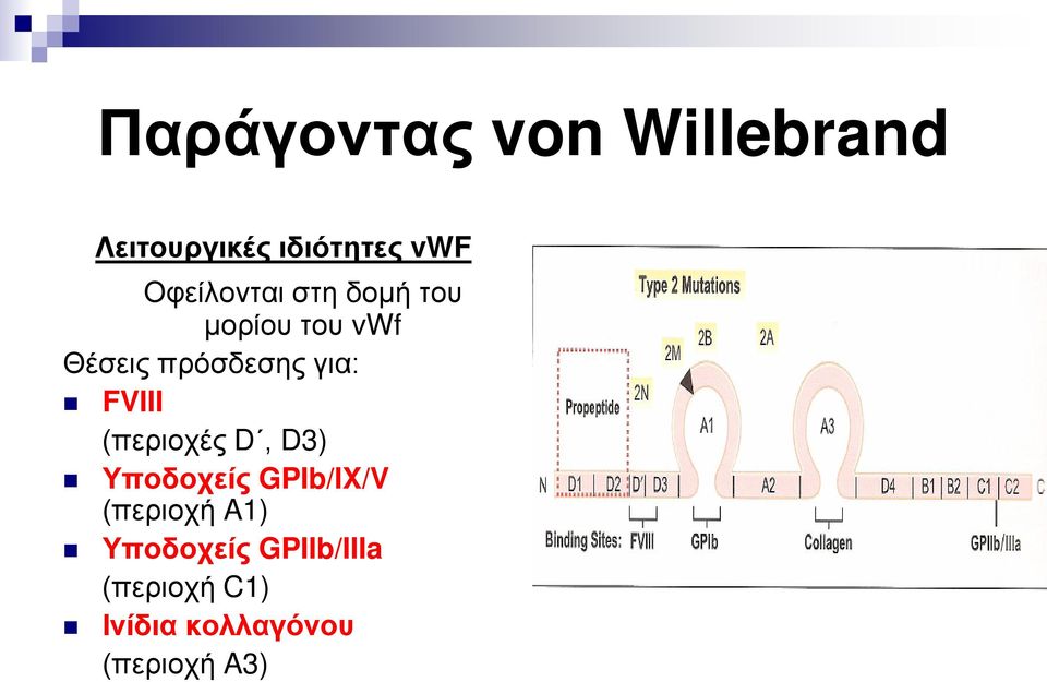 για: FVIII (περιοχές D, D3) Υποδοχείς GPIb/IX/V (περιοχή