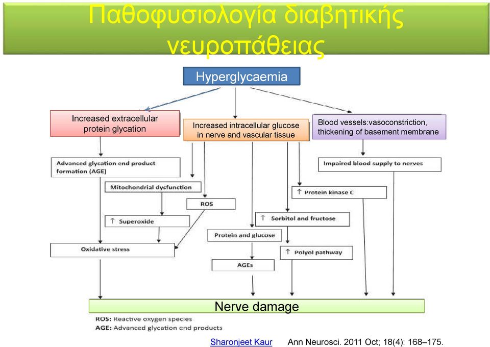 and vascular tissue Blood vessels:vasoconstriction, thickening of