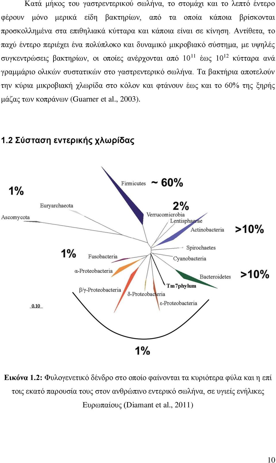 Αντίθετα, το παχύ έντερο περιέχει ένα πολύπλοκο και δυναμικό μικροβιακό σύστημα, με υψηλές συγκεντρώσεις βακτηρίων, οι οποίες ανέρχονται από 10 11 έως 10 12 κύτταρα ανά γραμμάριο ολικών συστατικών