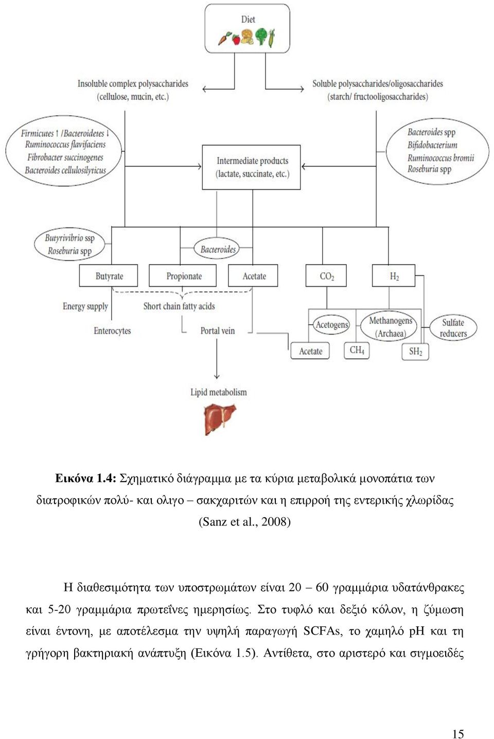 εντερικής χλωρίδας (Sanz et al.