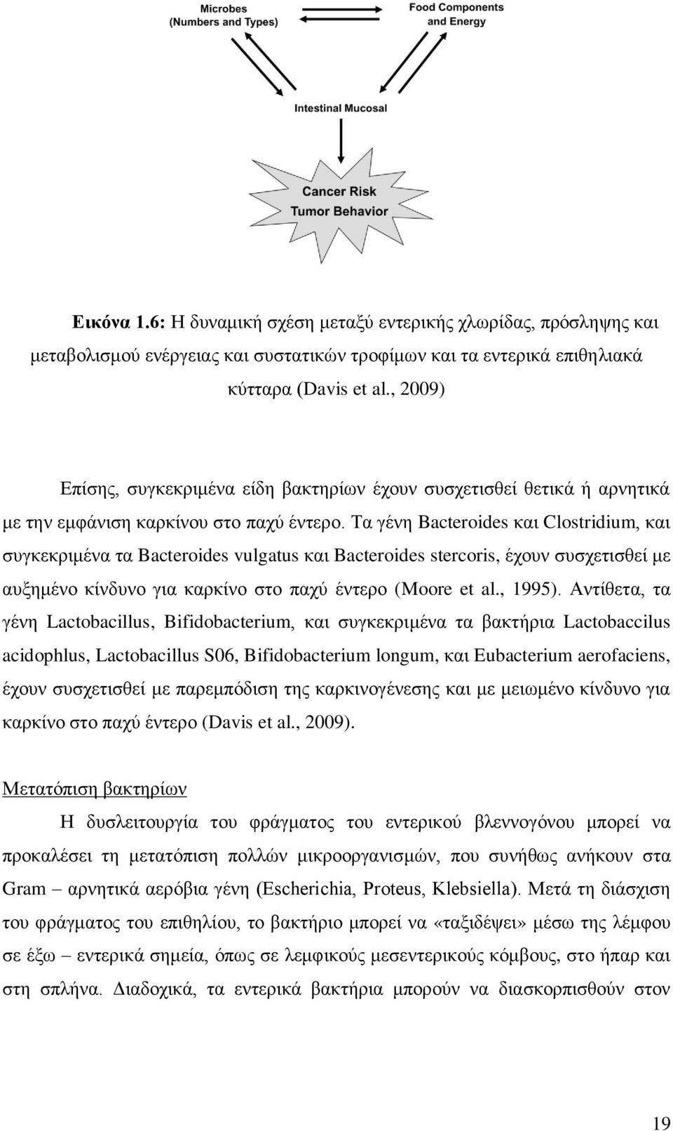 Τα γένη Bacteroides και Clostridium, και συγκεκριμένα τα Bacteroides vulgatus και Bacteroides stercoris, έχουν συσχετισθεί με αυξημένο κίνδυνο για καρκίνο στο παχύ έντερο (Moore et al., 1995).