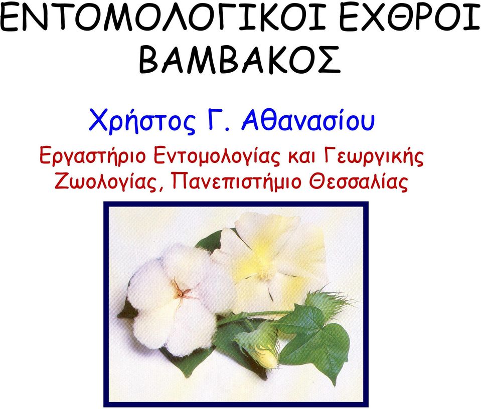 Αθανασίου Εργαστήριο