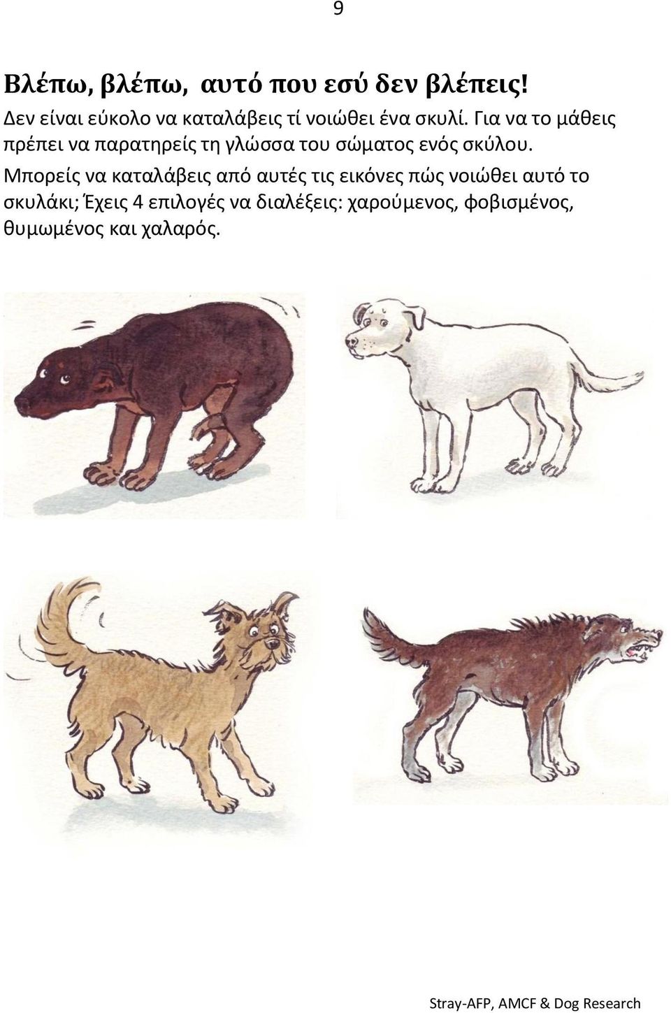 Για να το μάθεις πρέπει να παρατηρείς τη γλώσσα του σώματος ενός σκύλου.