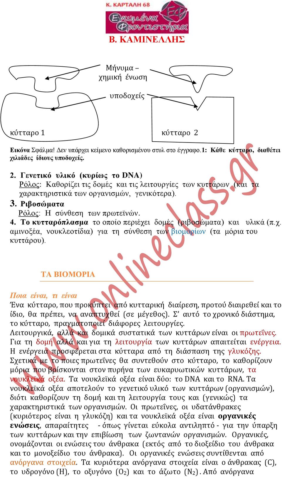 ΤΑ ΒΙΟΜΟΡΙΑ Ποια είναι, τι είναι Ένα κύτταρο, που προκύπτει από κυτταρική διαίρεση, προτού διαιρεθεί και το ίδιο, θα πρέπει, να αναπτυχθεί (σε μέγεθος).