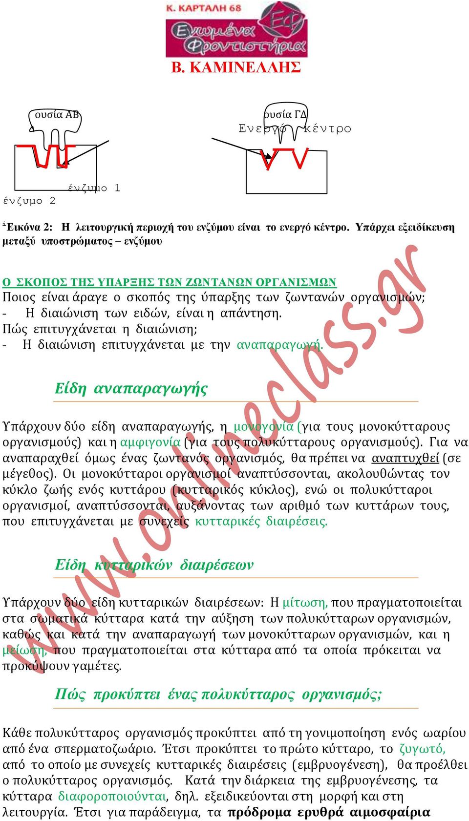 Πώς επιτυγχάνεται η διαιώνιση; - Η διαιώνιση επιτυγχάνεται με την αναπαραγωγή.