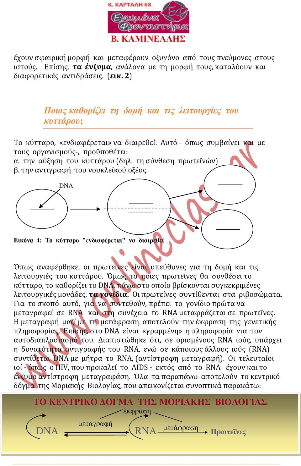 τη σύνθεση πρωτεϊνών) β. την αντιγραφή του νουκλεϊκού οξέος.