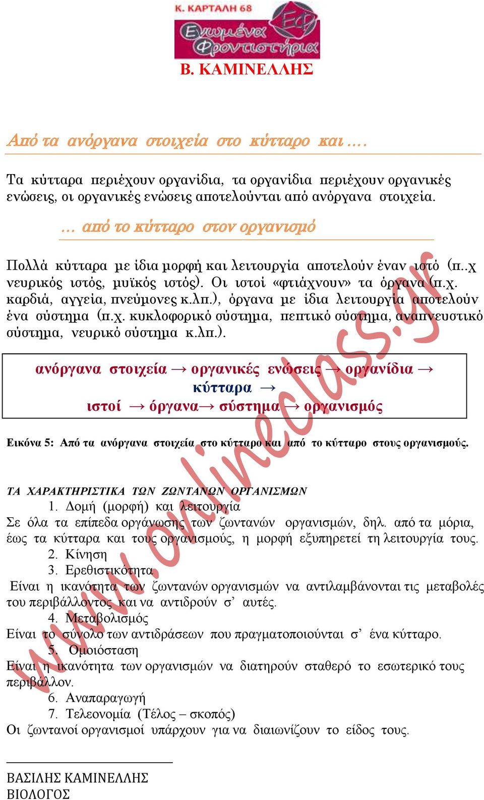 ), όργανα με ίδια λειτουργία αποτελούν ένα σύστημα (π.χ. κυκλοφορικό σύστημα, πεπτικό σύστημα, αναπνευστικό σύστημα, νευρικό σύστημα κ.λπ.). ανόργανα στοιχεία οργανικές ενώσεις οργανίδια κύτταρα ιστοί όργανα σύστημα οργανισμός Εικόνα 5: Από τα ανόργανα στοιχεία στο κύτταρο και από το κύτταρο στους οργανισμούς.