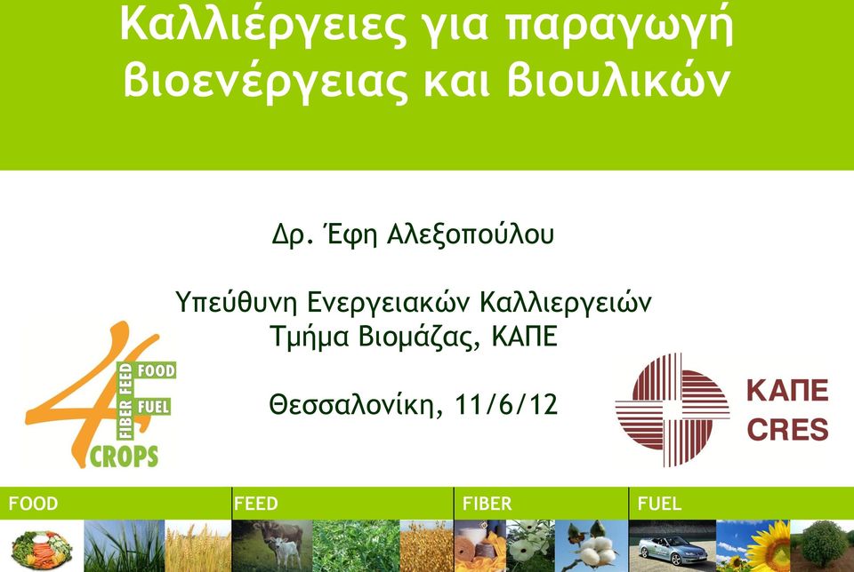 Έφη Αλεξοπούλου Υπεύθυνη Ενεργειακών