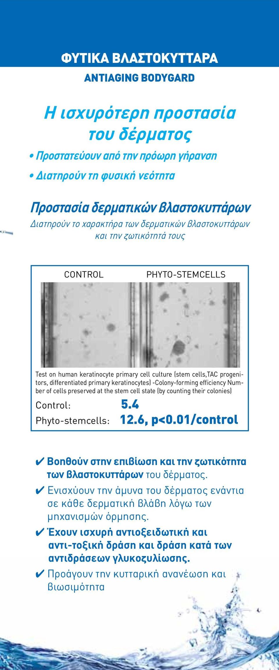 -Colony-forming efficiency Number of cells preserved at the stem cell state (by counting their colonies) Control: 5.4 Phyto-stemcells: 12.6, p<0.