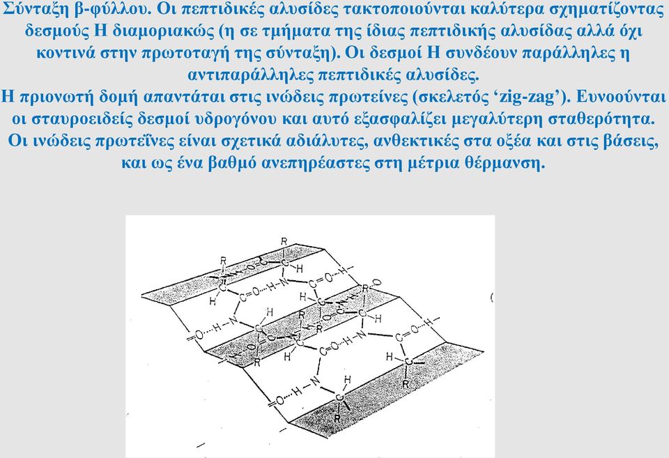 κοντινά στην πρωτοταγή της σύνταξη). Οι δεσμοί Η συνδέουν παράλληλες η αντιπαράλληλες πεπτιδικές αλυσίδες.