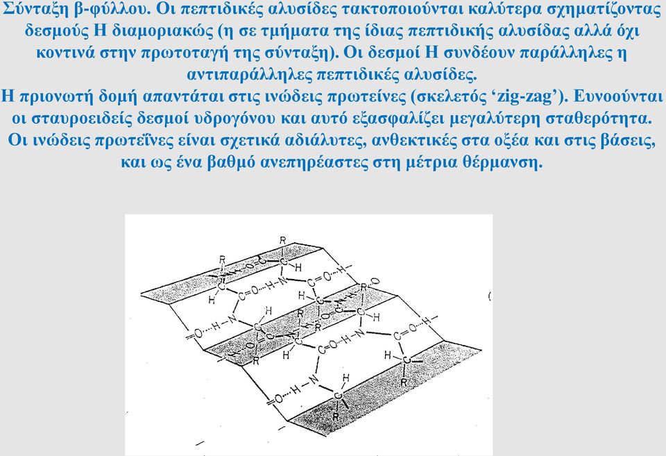 κοντινά στην πρωτοταγή της σύνταξη). Οι δεσμοί Η συνδέουν παράλληλες η αντιπαράλληλες πεπτιδικές αλυσίδες.