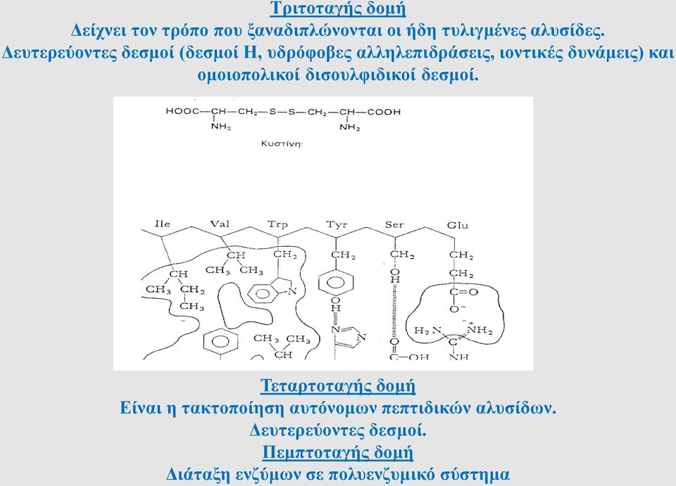 ομοιοπολικοί δισουλφιδικοί δεσμοί.