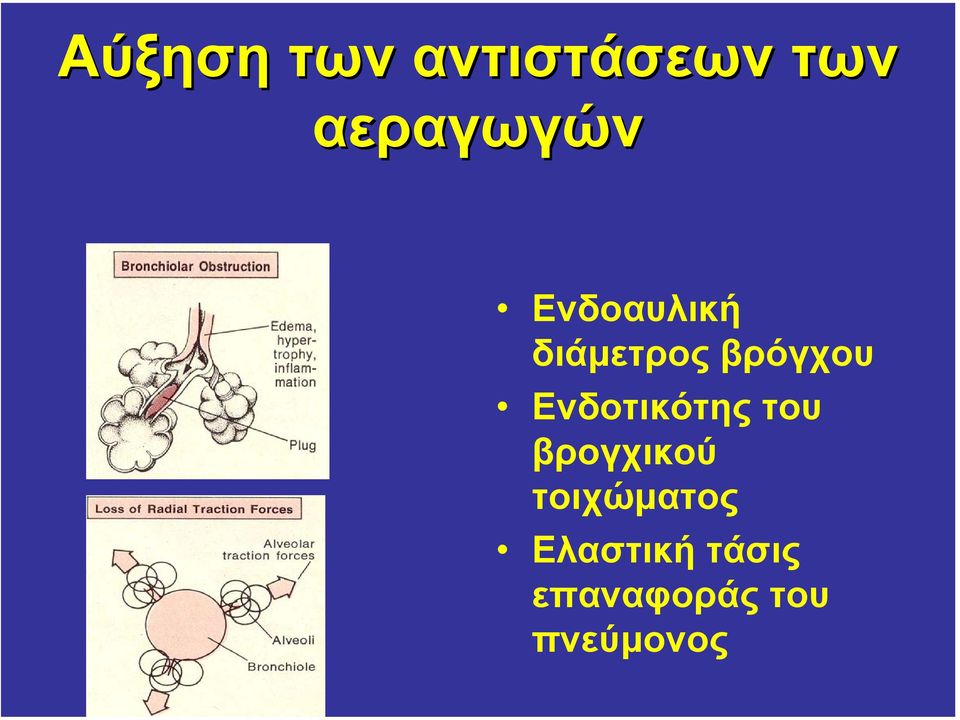 βρόγχου Ενδοτικότης του βρογχικού