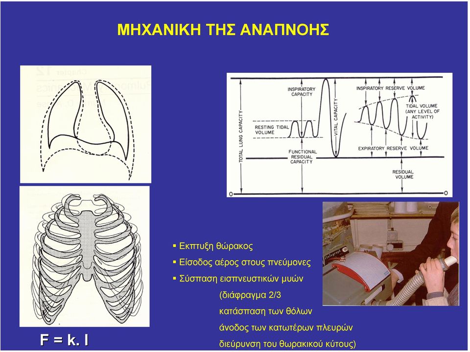 Σύσπαση εισπνευστικών µυών (διάφραγµα 2/3