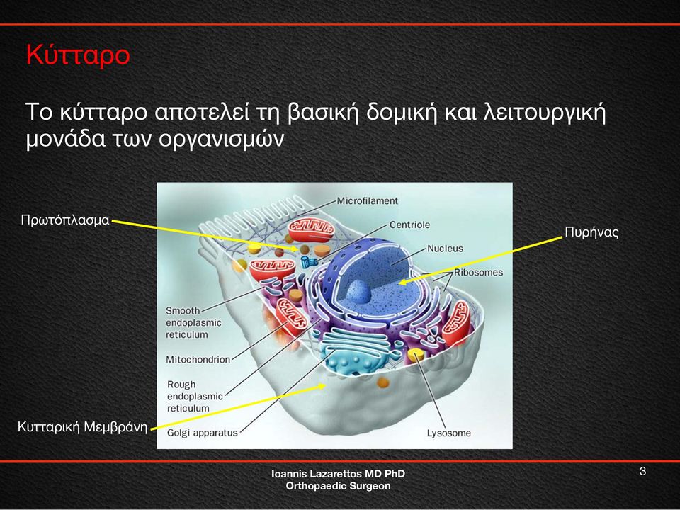 μονάδα των οργανισμών