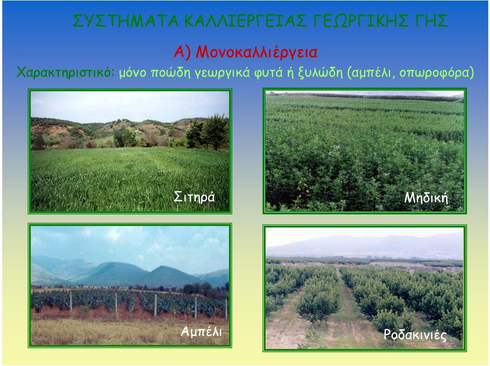 ποώδη γεωργικά φυτά ή ξυλώδη (αµπέλι,