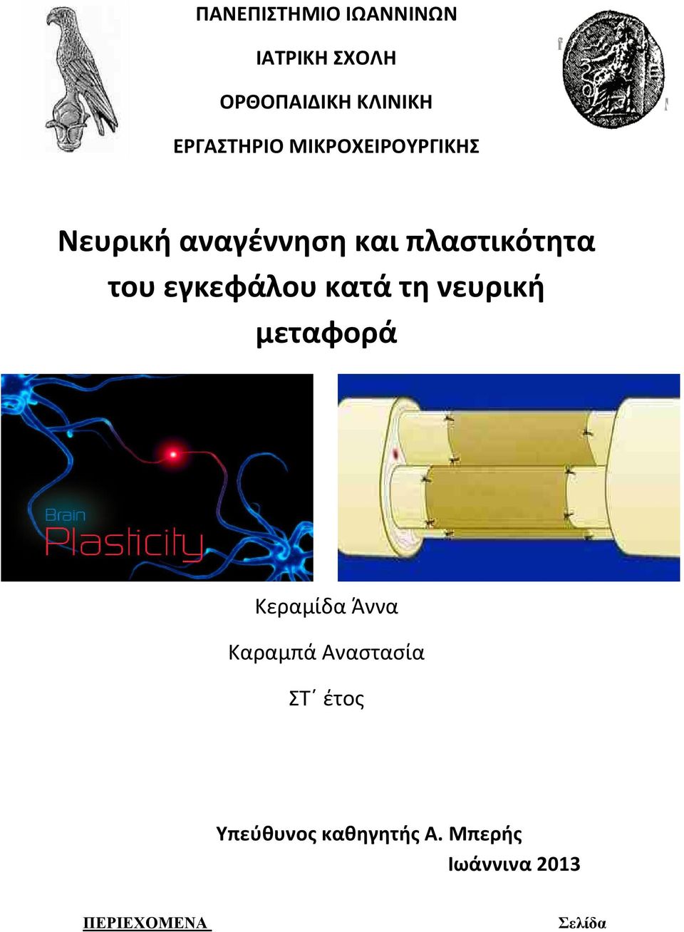 του εγκεφάλου κατά τη νευρική μεταφορά Κεραμίδα Άννα Καραμπά