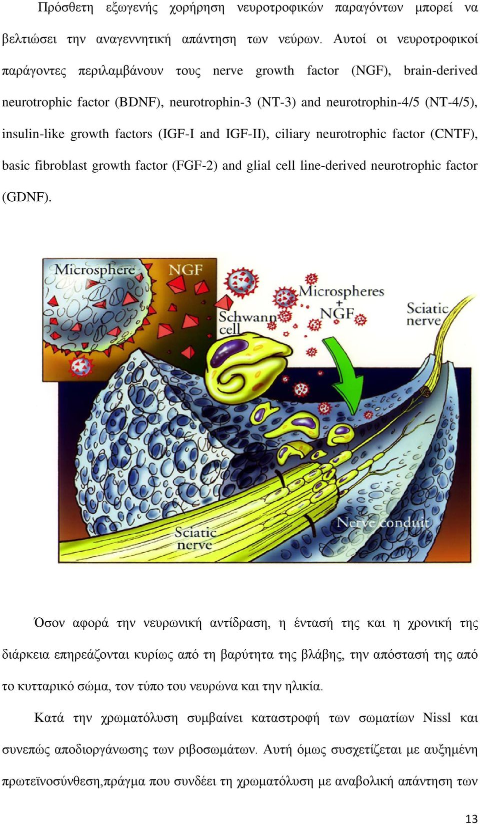 factors (IGF-I and IGF-II), ciliary neurotrophic factor (CNTF), basic fibroblast growth factor (FGF-2) and glial cell line-derived neurotrophic factor (GDNF).