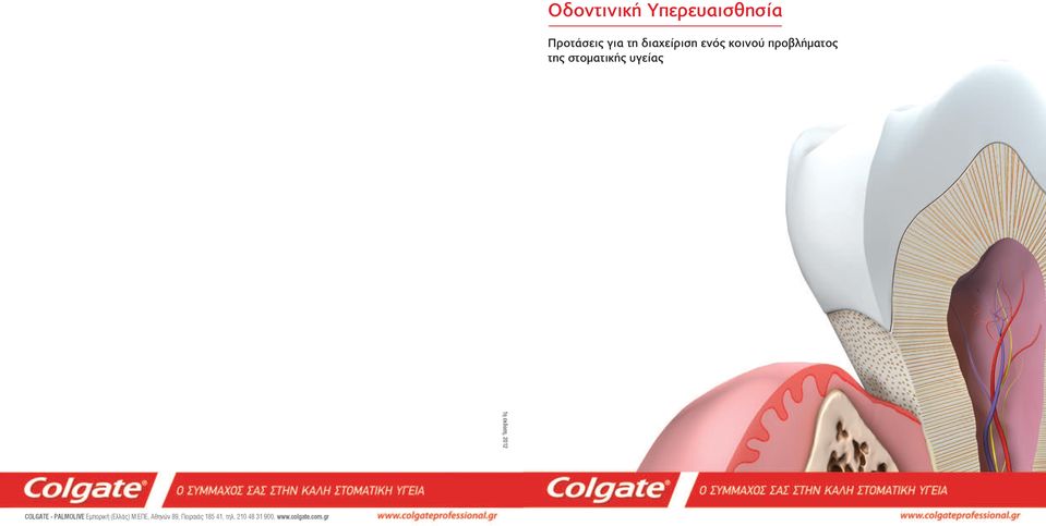 2012 COLGATE - PALMOLIVE Εμπορική (Ελλάς) Μ.