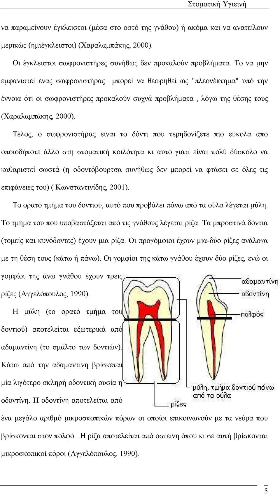 Τέλος, ο σωφρονιστήρας είναι το δόντι που τερηδονίζετε πιο εύκολα από οποιοδήποτε άλλο στη στοµατική κοιλότητα κι αυτό γιατί είναι πολύ δύσκολο να καθαριστεί σωστά (η οδοντόβουρτσα συνήθως δεν µπορεί