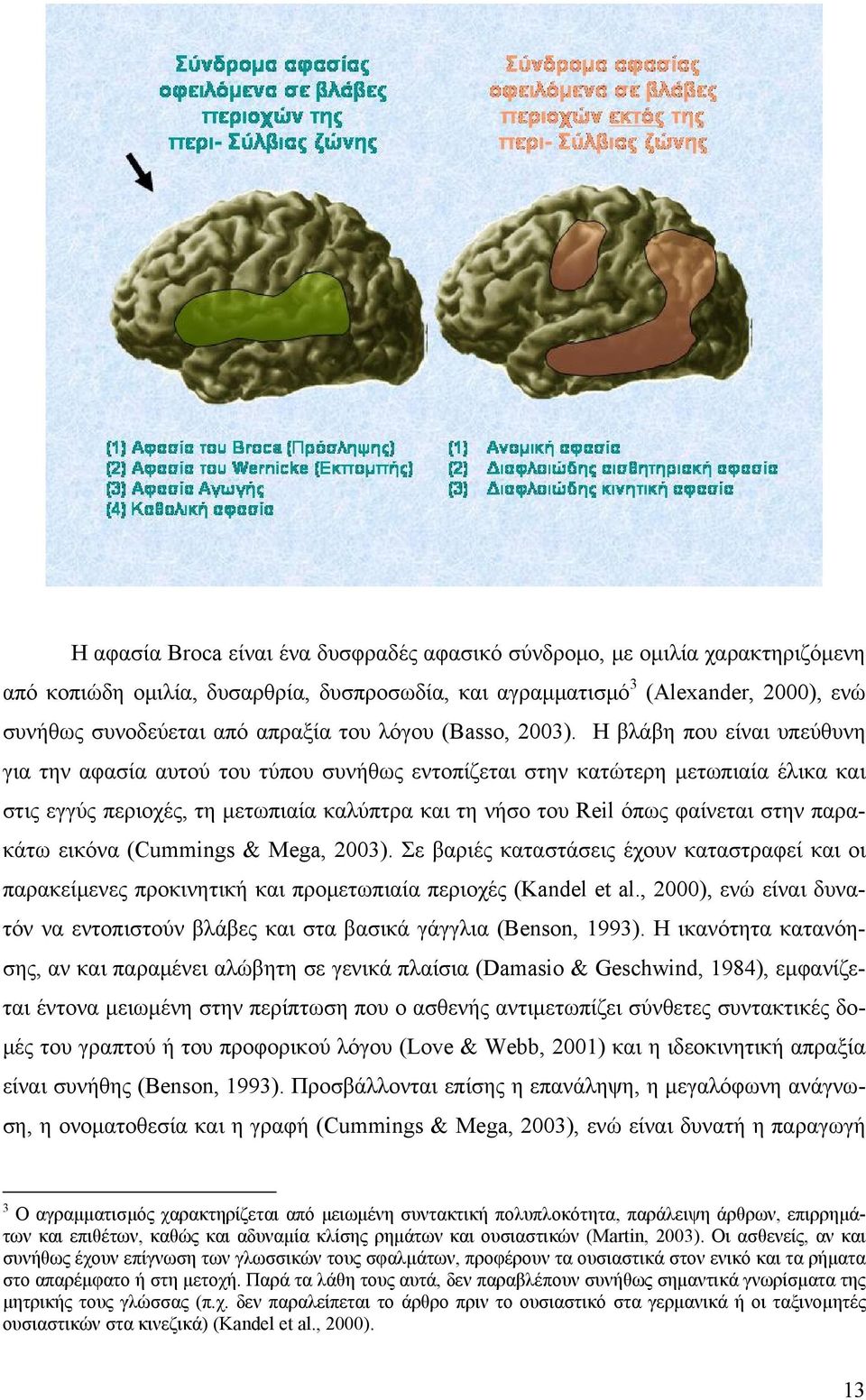 Η βλάβη που είναι υπεύθυνη για την αφασία αυτού του τύπου συνήθως εντοπίζεται στην κατώτερη μετωπιαία έλικα και στις εγγύς περιοχές, τη μετωπιαία καλύπτρα και τη νήσο του Reil όπως φαίνεται στην