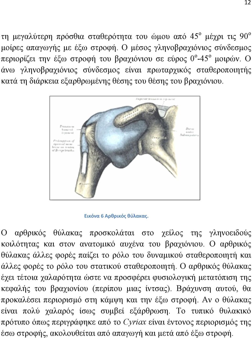 Ο άνω γληνοβραχιόνιος σύνδεσµος είναι πρωταρχικός σταθεροποιητής κατά τη διάρκεια εξαρθρωµένης θέσης του θέσης του βραχιόνιου. Εικόνα 6 Αρθρικός θύλακας.