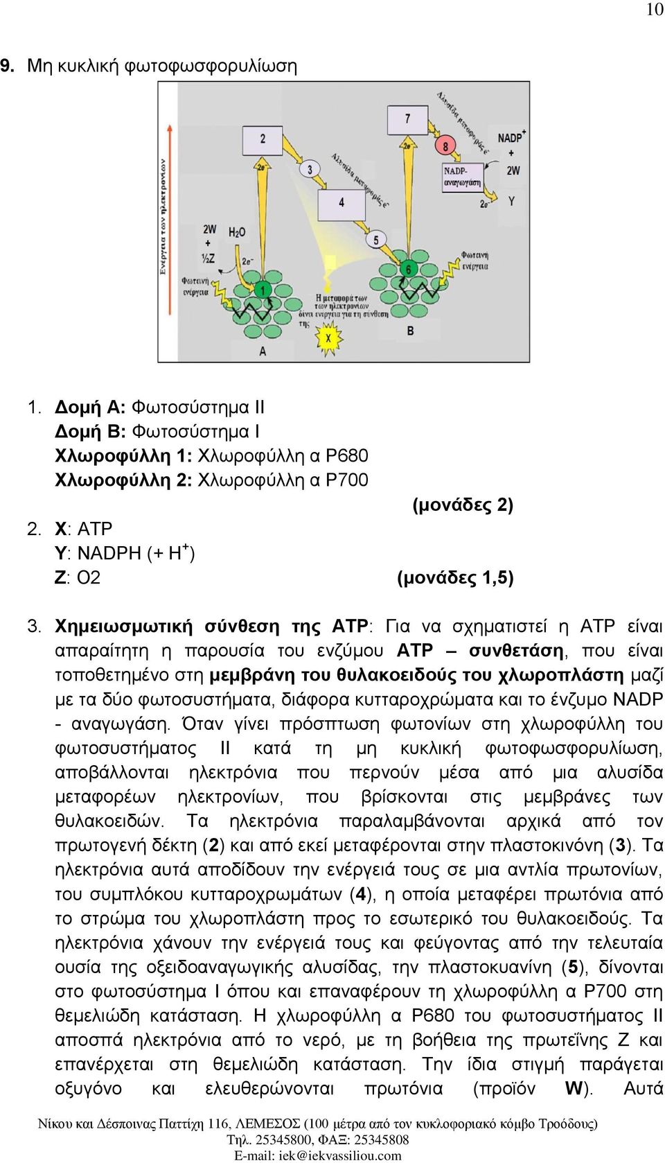 Χημειωσμωτική σύνθεση της ΑΤΡ: Για να σχηματιστεί η ΑΤΡ είναι απαραίτητη η παρουσία του ενζύμου ΑΤΡ συνθετάση, που είναι τοποθετημένο στη μεμβράνη του θυλακοειδούς του χλωροπλάστη μαζί με τα δύο