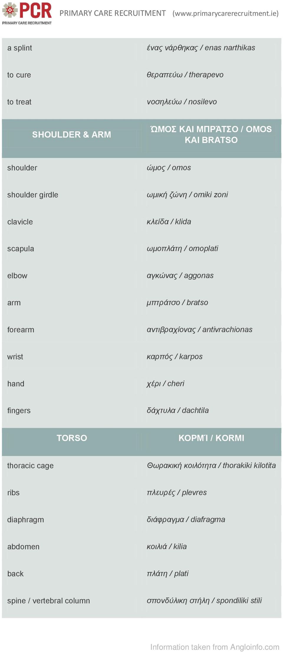 αντιβραχίονας / antivrachionas wrist καρπός / karpos hand χέρι / cheri fingers δάχτυλα / dachtila TORSO ΚΟΡΜΊ / KORMI thoracic cage Θωρακική κοιλότητα /