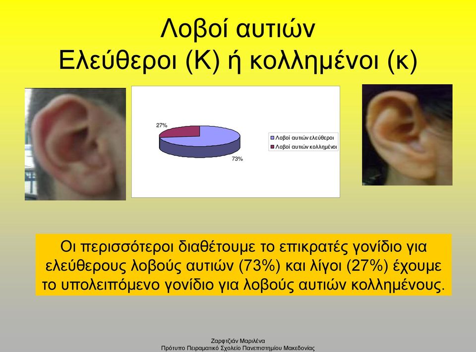 το επικρατές γονίδιο για ελεύθερους λοβούς αυτιών (73%) και