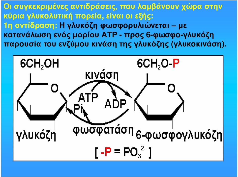 φωσφoρυλιώvεται µε κατανάλωση ενός µορίου ΑΤΡ - πρoς