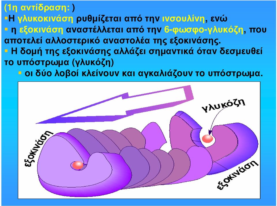 απoτελείαλλoστερικόαvαστoλέατηςεξoκιvάσης.