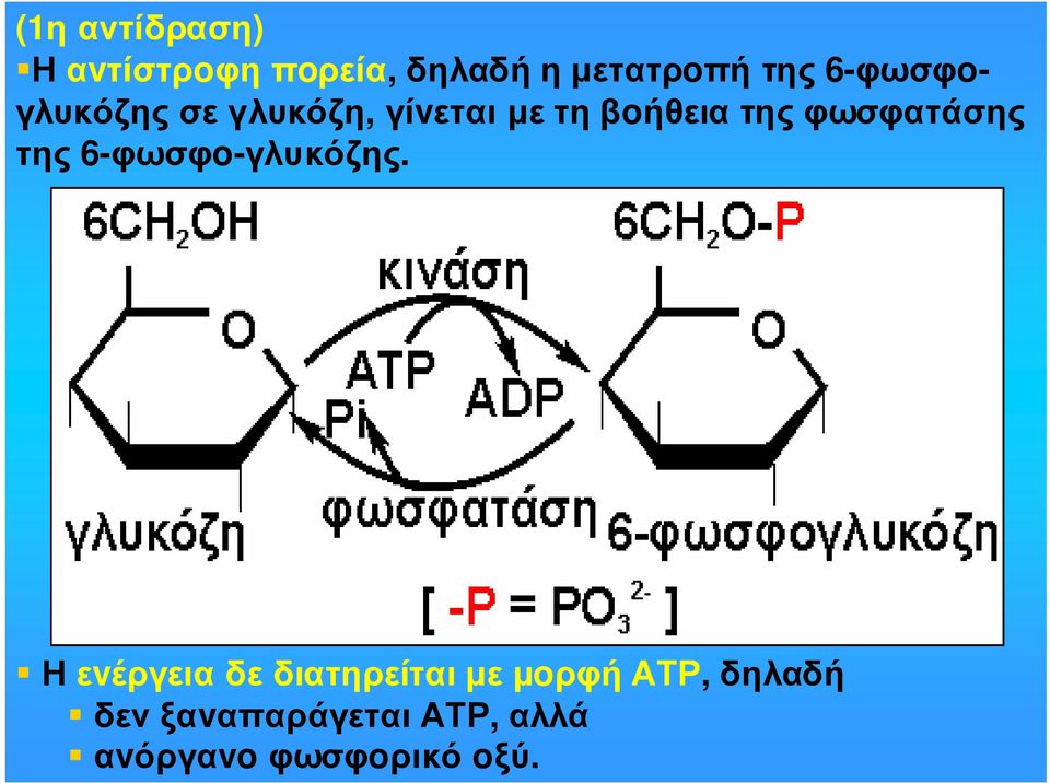 φωσφατάσης της 6-φωσφo-γλυκόζης.