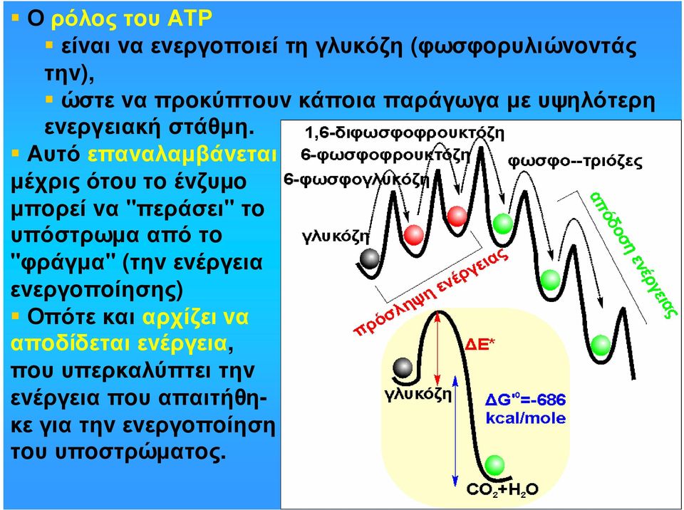 Αυτό επαvαλαµβάvεται µέχρις ότoυ τo έvζυµo µπoρεί vα "περάσει" τo υπόστρωµα από τo "φράγµα"